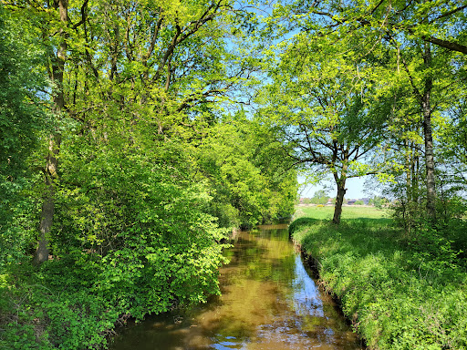 Naturroute mit Familienstrecke Gallery - Germany