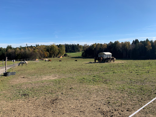 Reit und Ponyhof Großrain - Thumbnail