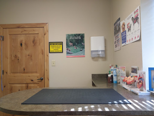Horseshoe Bay Vet Clinic - Thumbnail