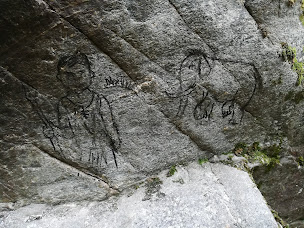 Photo n°17 de Immersion Break Nature à Montans (Centre de formation)