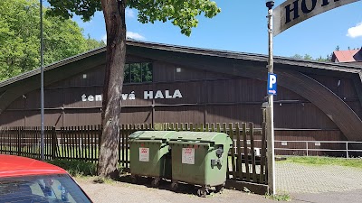 Photos of Hotel Gejz&iacute;r