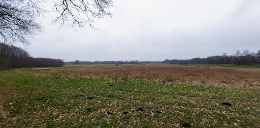 Parkeerplaats Gasterse Duinen - Thumbnail