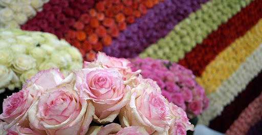 Rosanti Flowers
