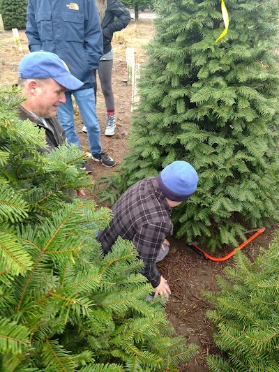 Christmas Creek Tree Farm