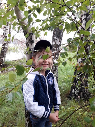 Photos of Detskiy Lager' "Sokol"