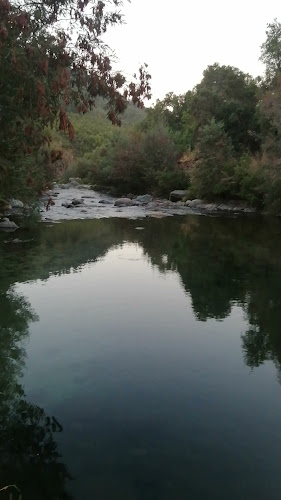 Opiniones de Camping Mora en Río Claro - Camping