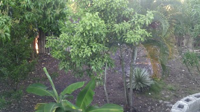 Photos of Hacienda Manaca