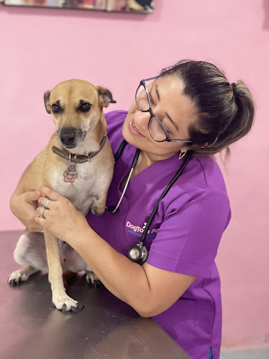 Consultorio Veterinario DogTora Pets