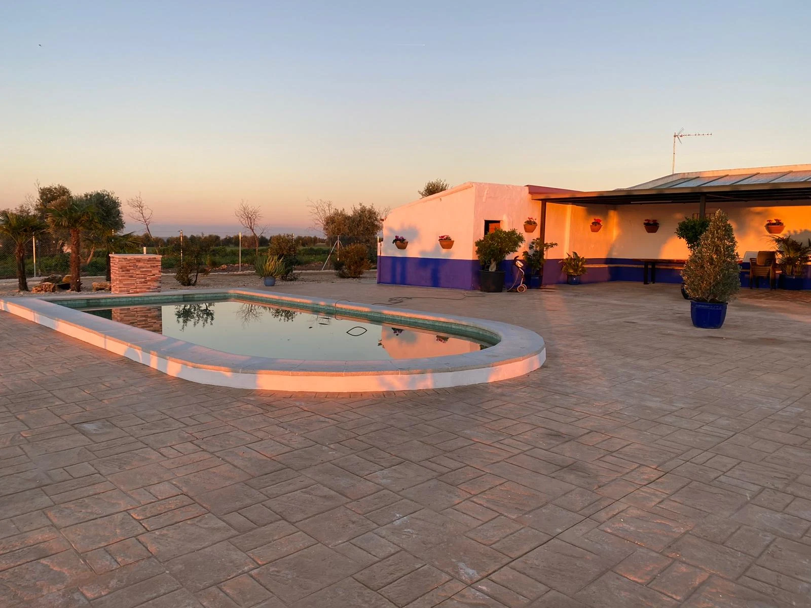 La Casa del Olivo