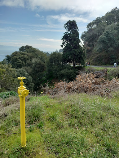 Point Campbell Cove - Thumbnail