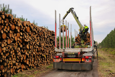 Groupe Forestier Lejeune 291 Rte de Glaude, 40090 Campagne, France