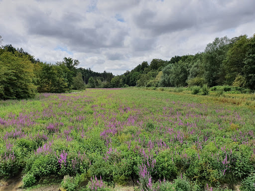 La Roche(Brabant) - Thumbnail