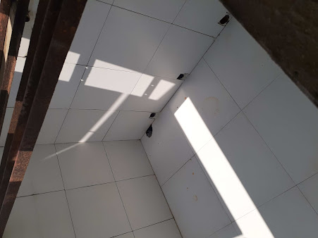 Af1qippk4lhsoyvvrdzc8urxky91iaiymal8as26a7dx=s451 K No