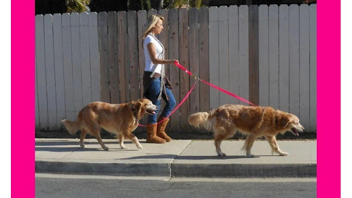 Pet Walker Plus