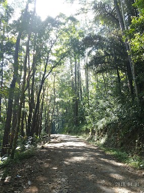 Tanjakan Pacitra Gunung Walat, Author: 莊毅男