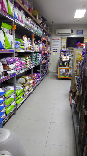 +Kota Food Lindavista Monterrey - Thumbnail