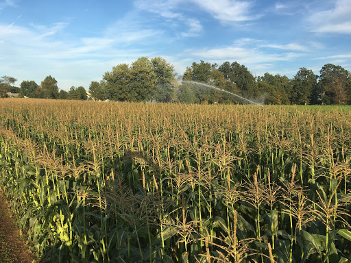 Blum Water Solutions LLC