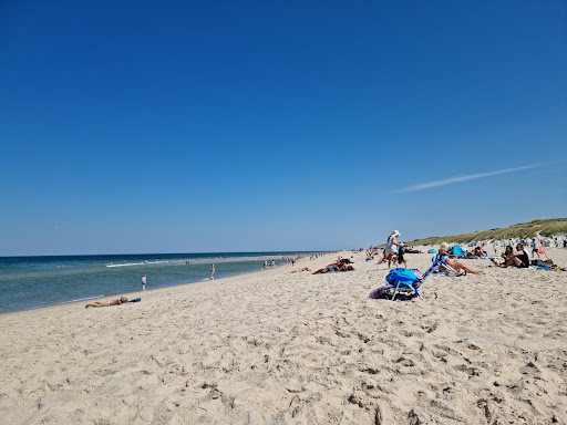 Dog beaches in Westerland