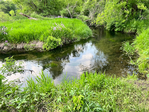 Rowan Creek Trail