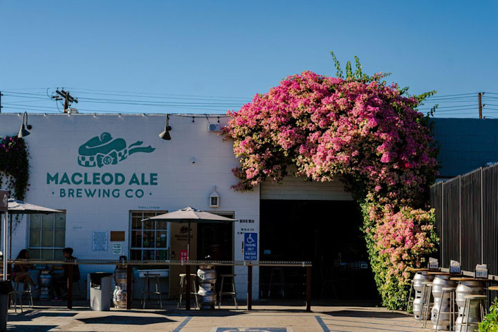 MacLeod Ale Brewing Co. by null