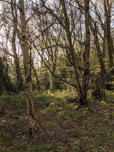 Larkins Playing Field - Thumbnail