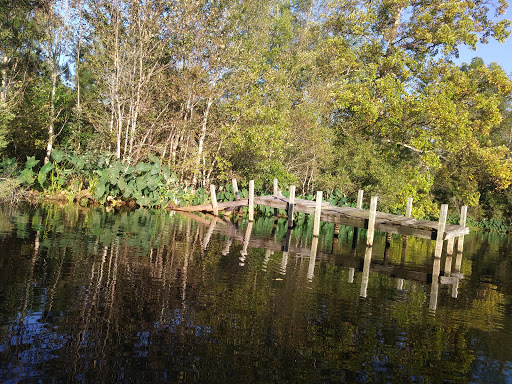 Lake Mayers - Visual
