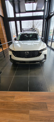Borgman Ford - Visual