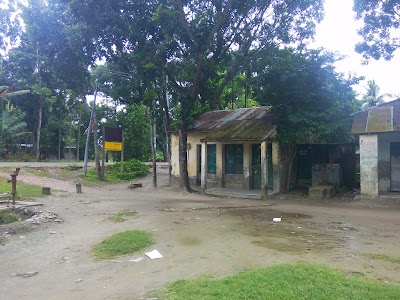 school