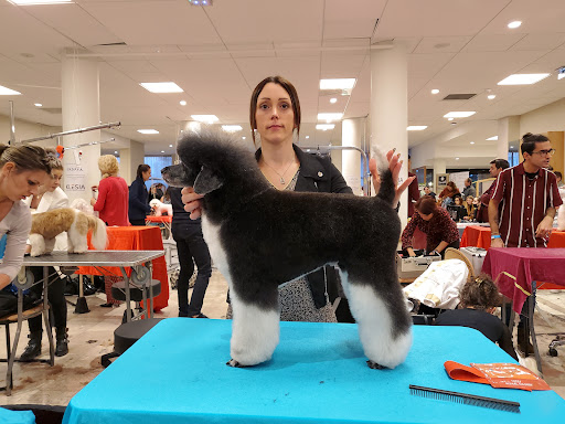 Peluche - Visual