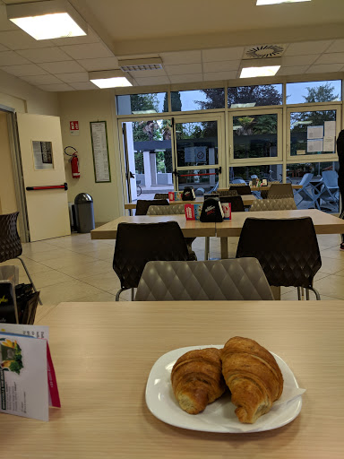 Geysis Café - Visual