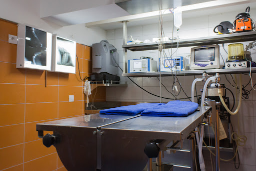 Clinica Veterinaria La Cuesta - Thumbnail