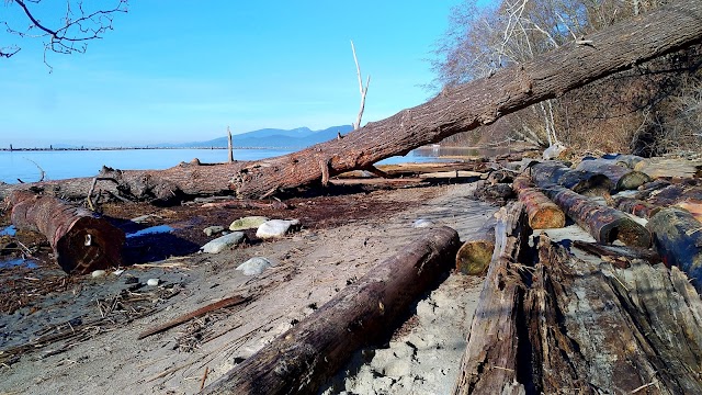 Wreck Beach