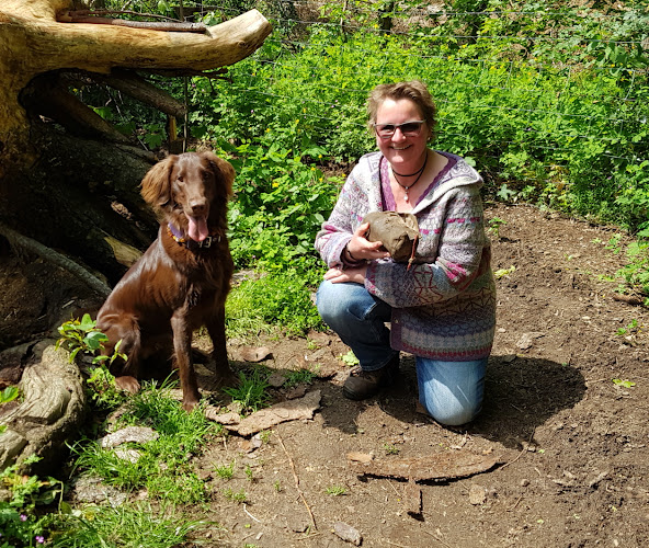 Rheinische Hundeschule