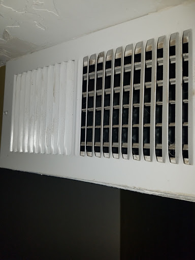 Green Solutions Carpet Cleaning Gallery - United States