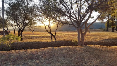 Photos of Buffelskloof Lodge