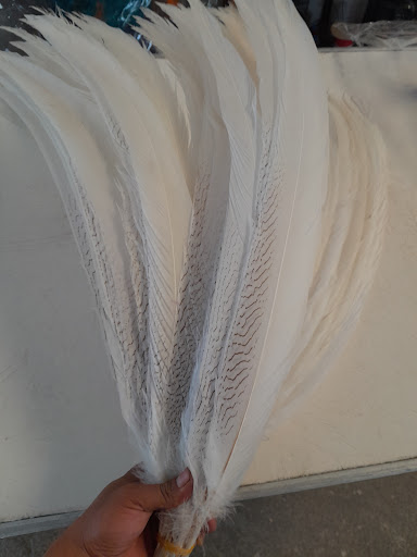 FEATHERS F.T - Thumbnail