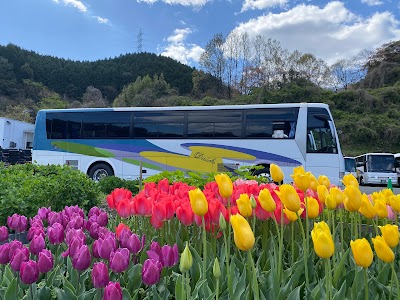 第一観光バス(株) 山口営業所