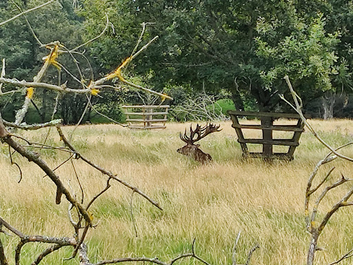 Knepp Park - Thumbnail