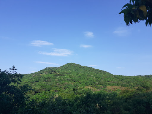 Cerro del Veinte Gallery - Mexico