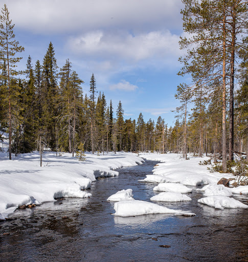 Fettjärn - Visual