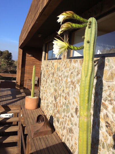 Photos of Hostal Sirena Pichilemu