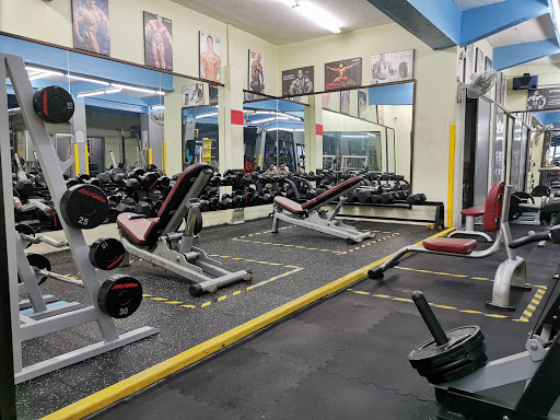 U-Fitness Gym Centre