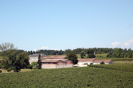 Photo de Domaine de Talion à Berson (33390)