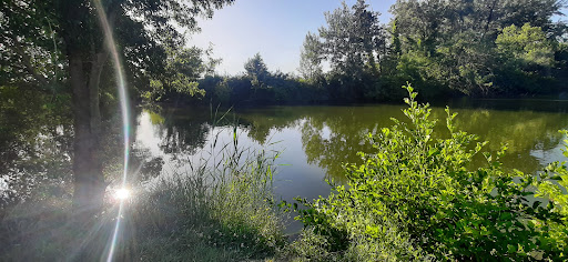 Étang des Goules - France