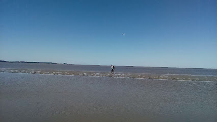 Mundo Arte