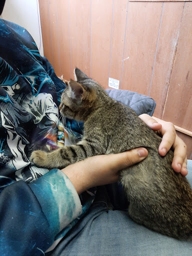 Sullivan County Humane Society - United States