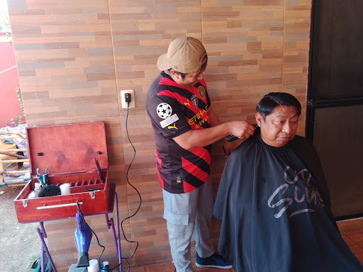 Carnotaurus Barber