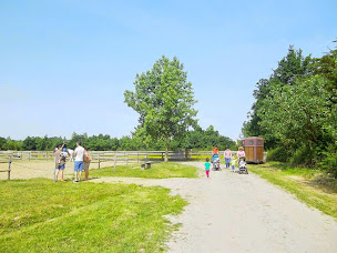 Photo n°9 de Les Ecuries de L'îlot à Sallertaine (Ferme pédagogique)