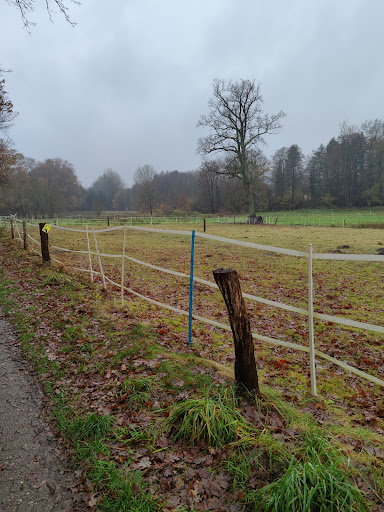 Wanderweg Luhfuhren Alte Kirche - Thumbnail