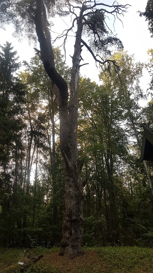 Ievērojamu vietu apskate